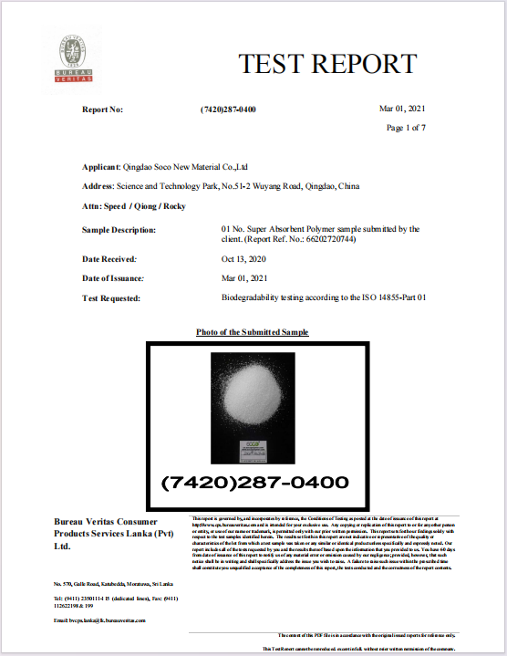 Degradable Report